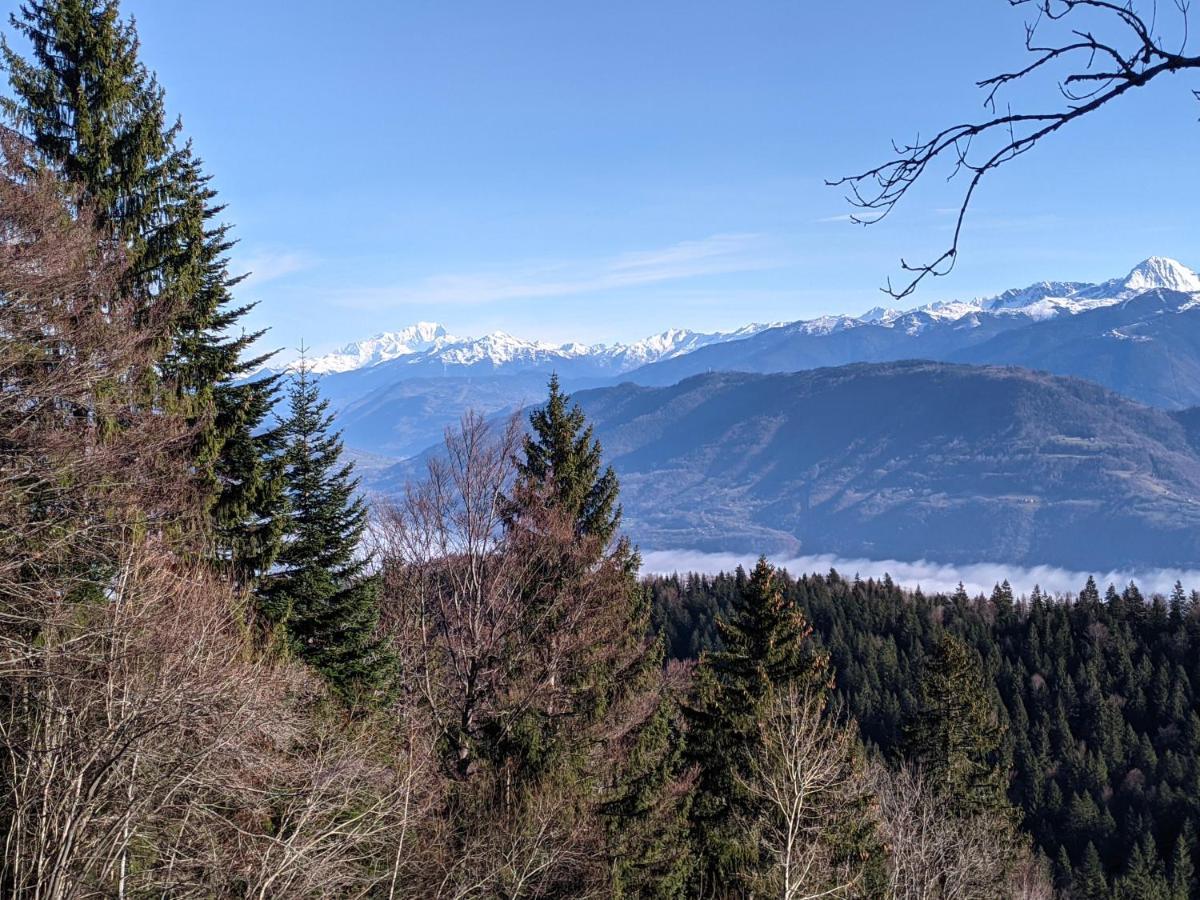 Appartement De Plain-Pied En Montagne Avec Vue Merveilleuse Sur Le Massif De Belledonne Saint Bernard du Touvet 외부 사진
