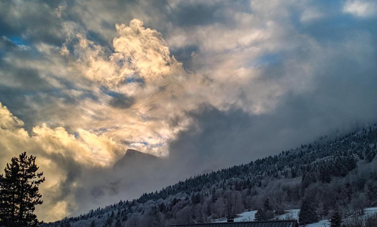 Appartement De Plain-Pied En Montagne Avec Vue Merveilleuse Sur Le Massif De Belledonne Saint Bernard du Touvet 외부 사진